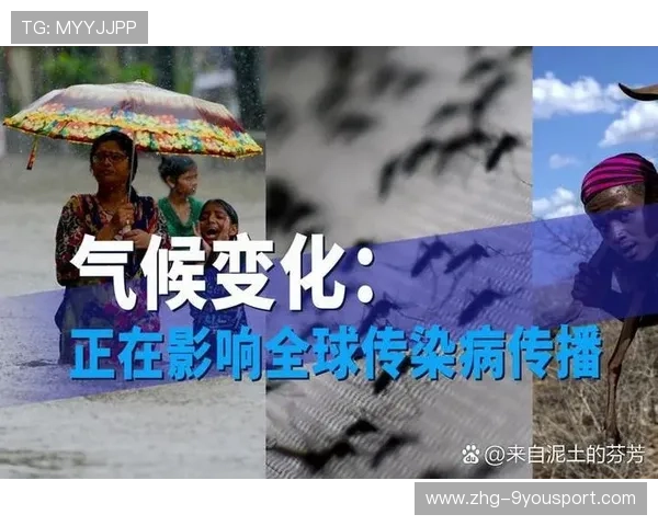 气候变化对战术制定的影响分析，气候对作战的影响